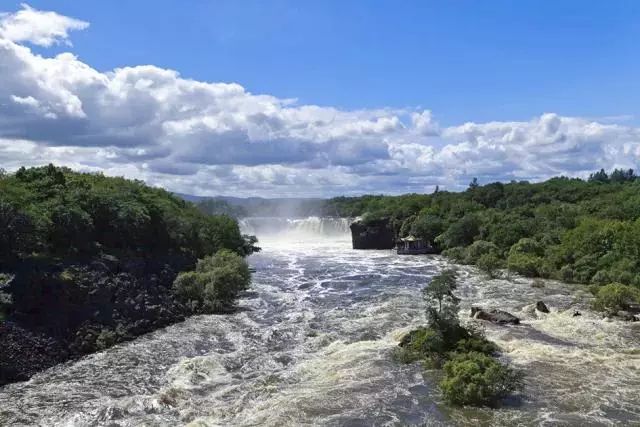 今年的新蜜来了~你见过洁白如雪，甜而不腻，像奶油一样可以直接舀着吃的蜂蜜吗？
