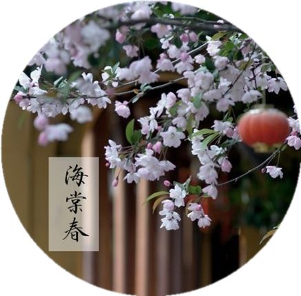 长相思西江月浣溪沙都是词牌名吗,浣溪沙词牌名古诗