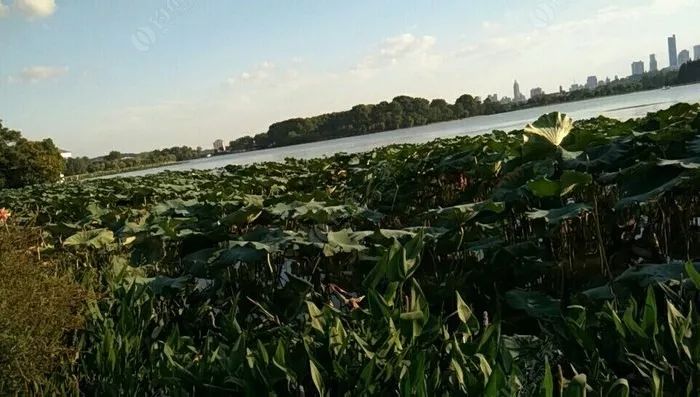 如何挑选鱼竿的轮子的速比,准备钓鱼如何挑选鱼竿新手