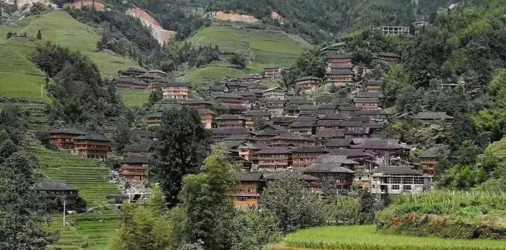 防患于未燃湖南森林公安在行动,防患于未燃守护群众烟火气