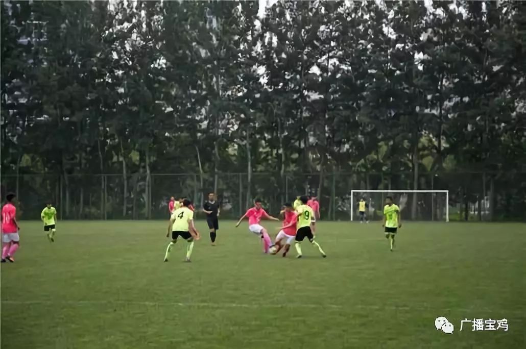 宝鸡十强学校,宝鸡排名前十的小学学校