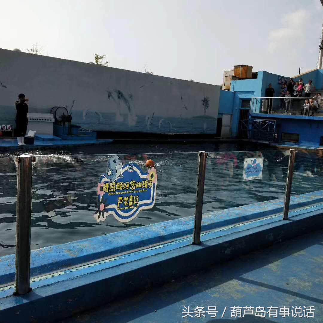 秦皇岛新澳海底世界下午两点去,秦皇岛海洋海底世界