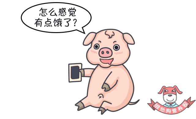 足贴减肥可信吗,足贴真的能排毒瘦身吗