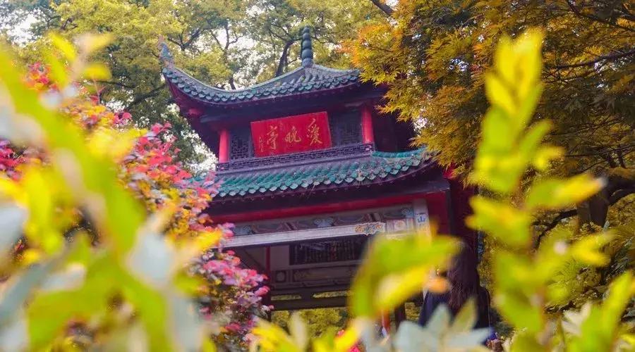 10月新低！广州出发机票仅180块！坐飞机玩转抖音最火网红地