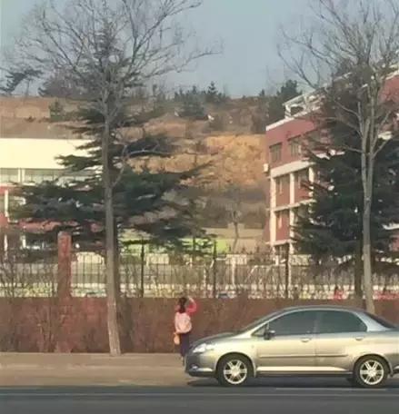 网红莉哥唱的歌曲四个字,莉哥唱凉凉