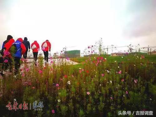 长春公园新建足球场,长春有足球场的公园