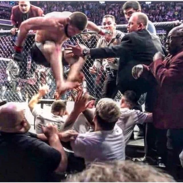 小鹰哈比布在ufc地位 (小鹰哈比布现在还在ufc吗)