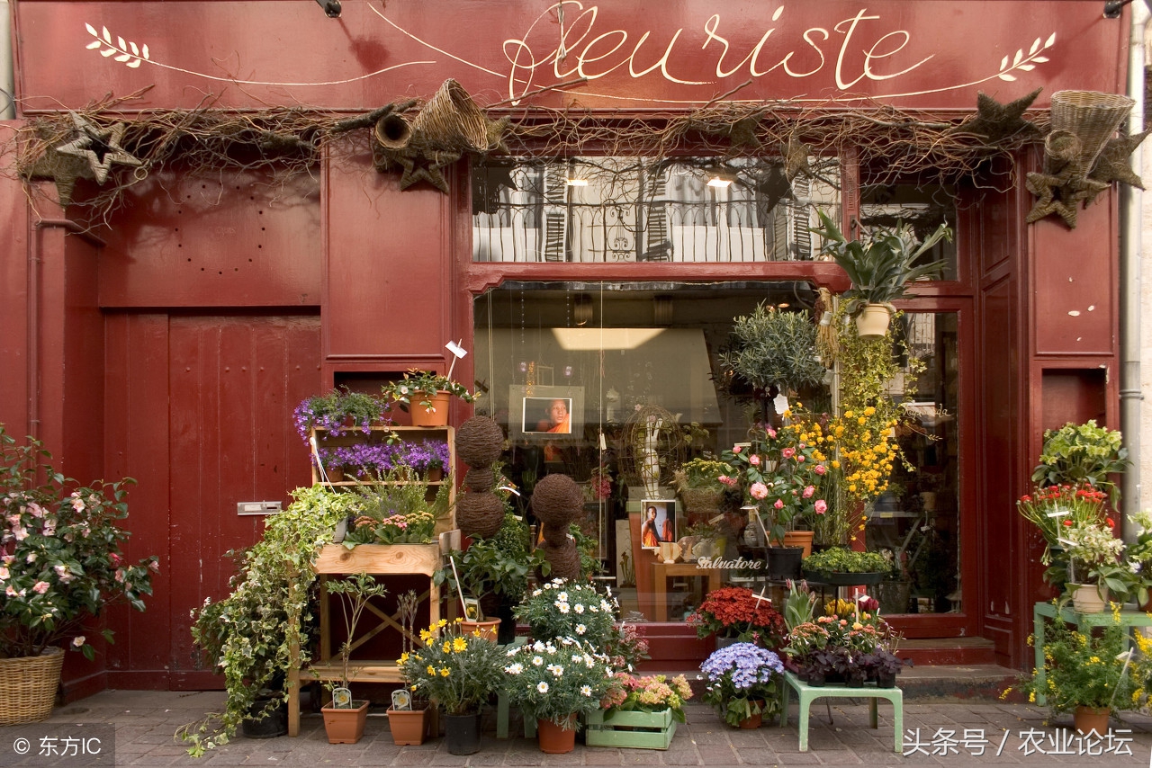 开花店进货成本明细,开个花店的成本和利润