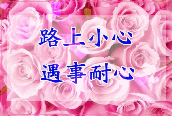 10张会动的照片,11张会动的图片