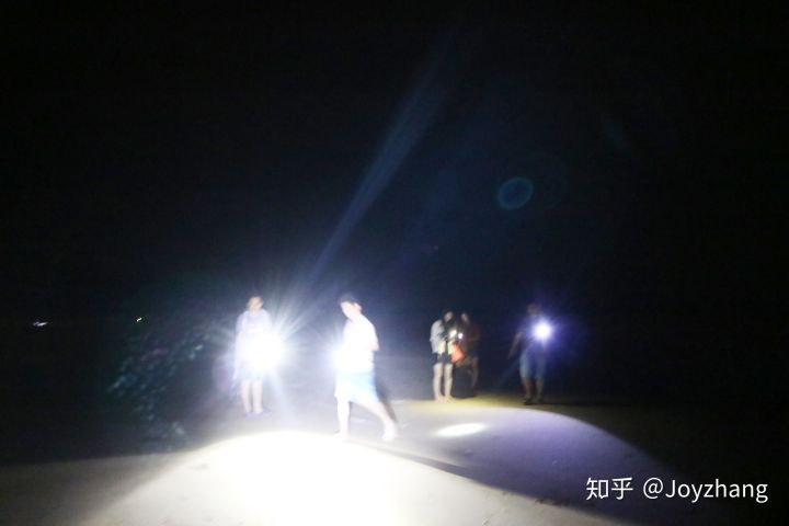 游历抓住怪鱼,游历抓怪鱼逆水寒