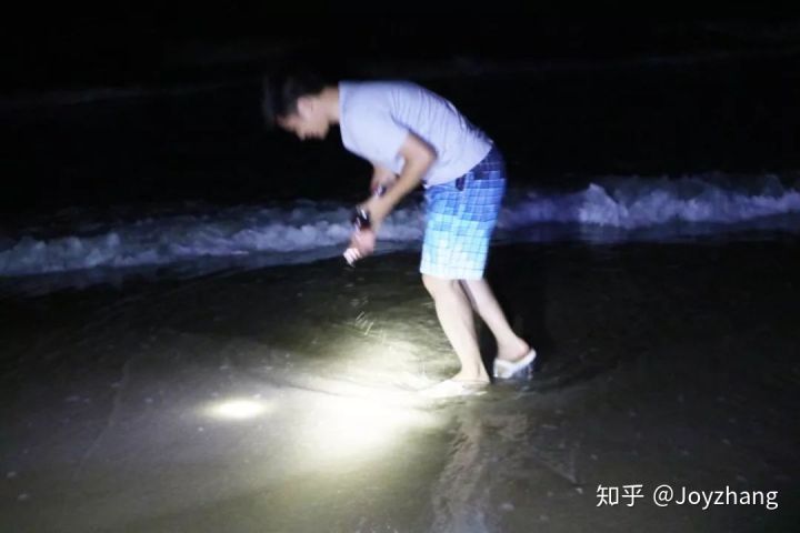 游历抓住怪鱼,游历抓怪鱼逆水寒