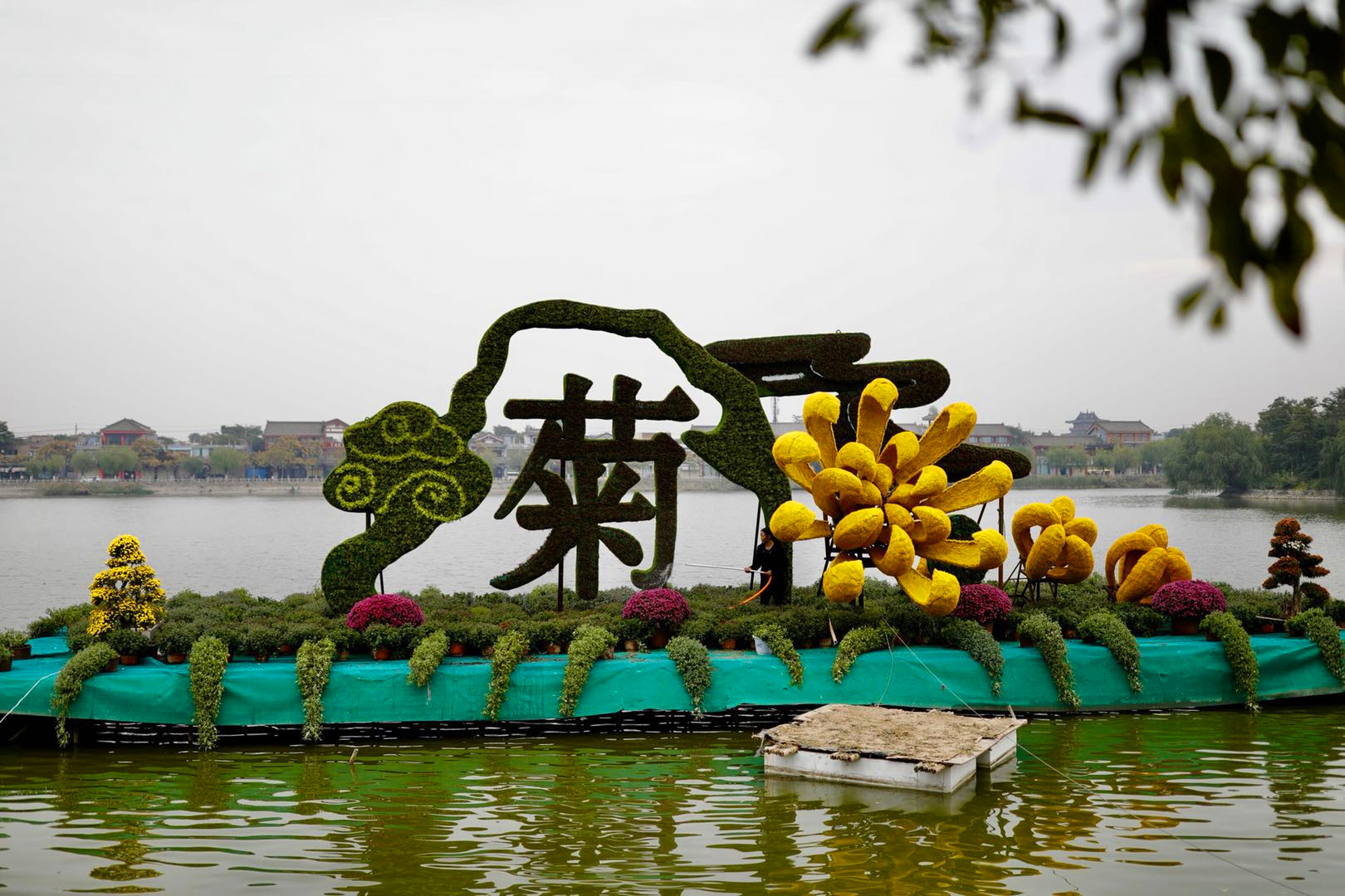 开封清明上河园龙亭两日游,自由行说走就走的旅行开封赏菊