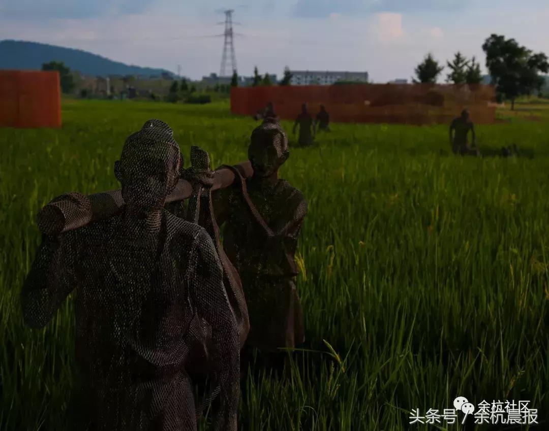 9090000㎡！余杭新增一大型公园，1299个足球场大！