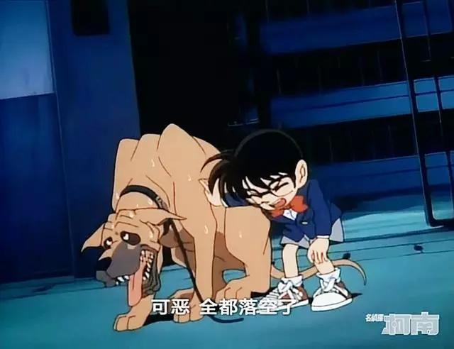 服了，看过诸多精彩表演，柯南君竟然可以和汪星人互动到当坐骑！