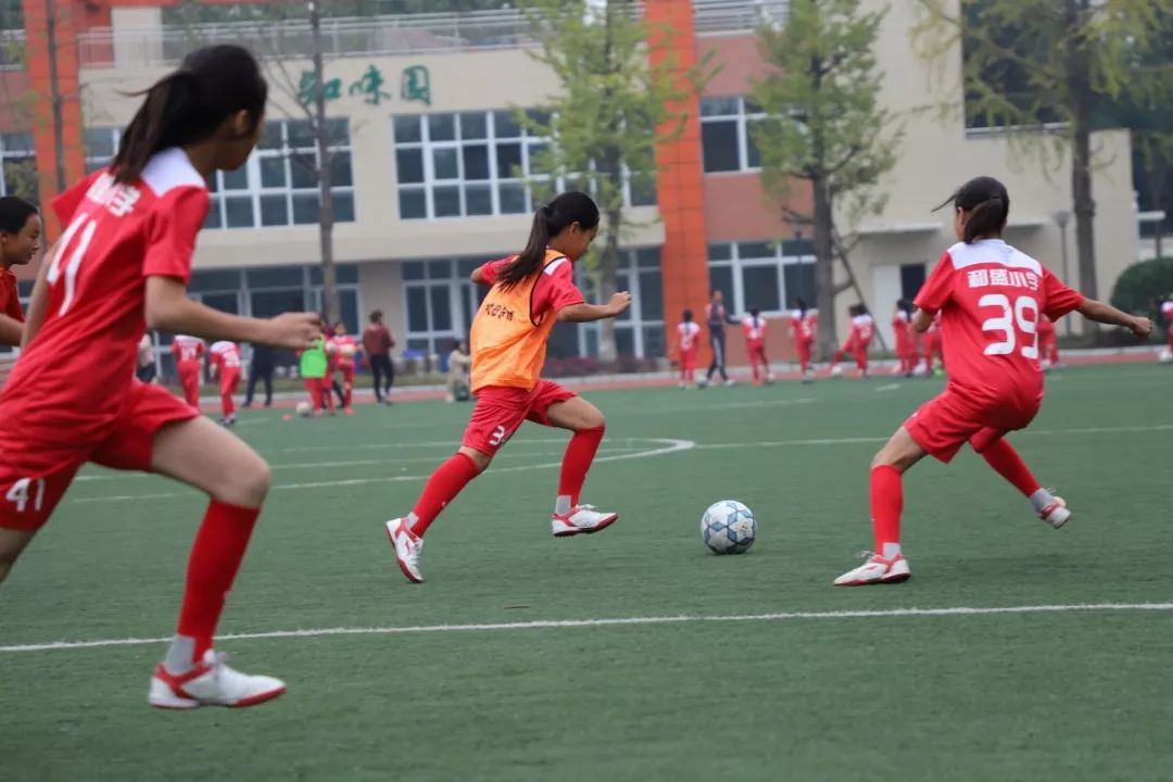 金温江介绍,金温江最新消息