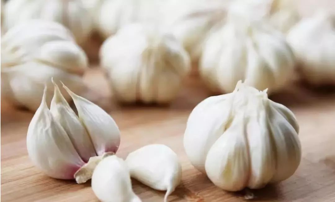 家里太多蟑螂了如何一招消灭蟑螂,家里的蟑螂泛滥成灾怎么才能除根