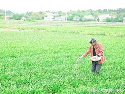 草木灰对哪些作物有用途,草木灰压成的颗粒有什么用途