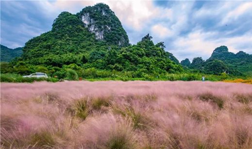 天凉好个秋，一起来感受秋日广东乡村的多样色彩吧！