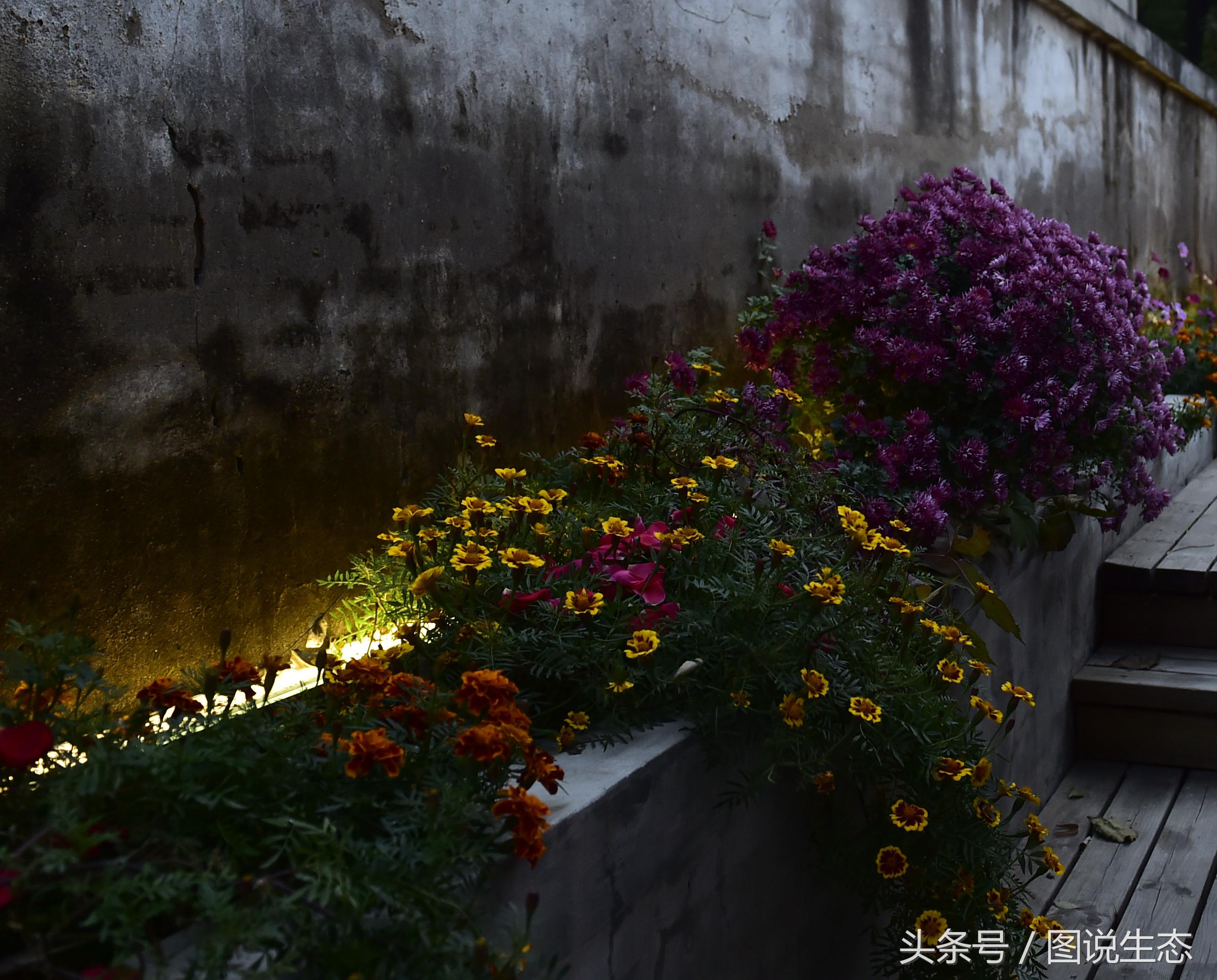 姘戝榛勬爩鑺卞紑,鍖椾含鍛ㄨ竟鑳藉惉鍒伴挓澹扮殑姘戝