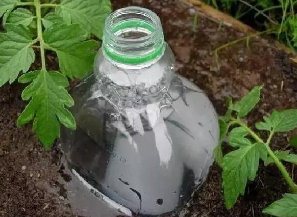 自制简单自动浇水装置，小学生都会做，休假就放心去浪吧！