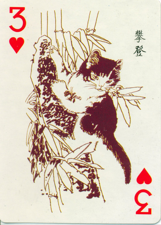 猫谱扑克欣赏,明星扑克牌欣赏