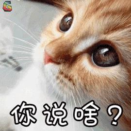 不用死记硬背的语法,不用死记硬背