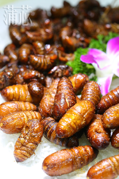 盘点济南必吃的十大美食,济南新开的好吃的美食