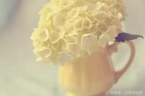 心灵鸡汤经典语录简短致自己,心灵鸡汤励志经典句子句句暖心