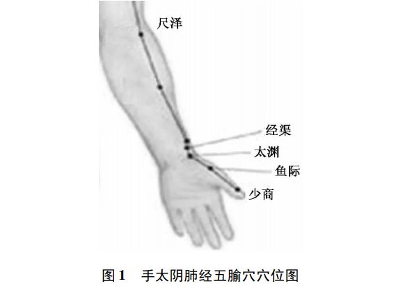 五输穴之少商鱼际与太渊，经渠尺泽肺相连