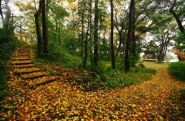 北仑十大爬山景点,北仑免费爬的山有哪些景区