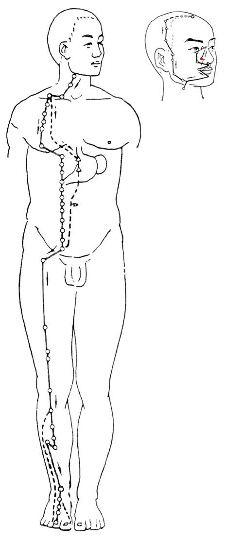 女性经络不通畅症状,男女经络不通有什么症状