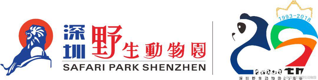 比较奇怪的动物名字有哪些,易读错猫科动物