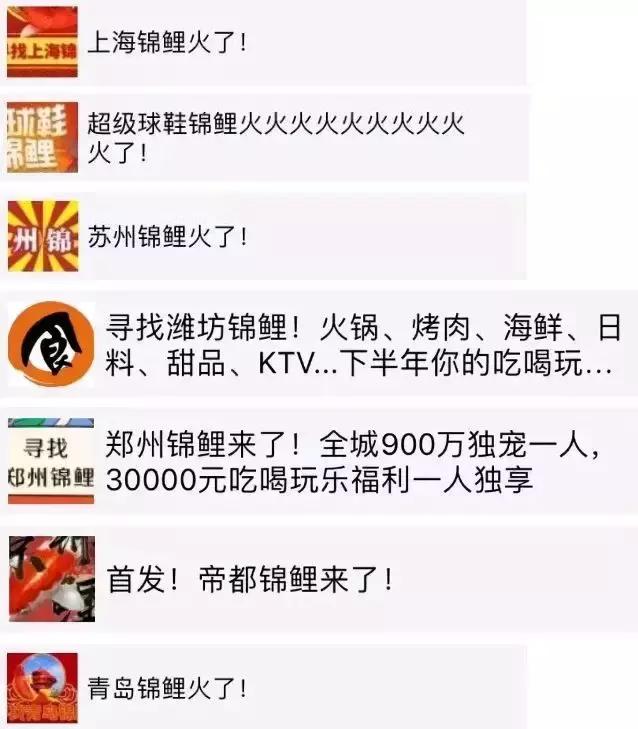 锦鲤*局骗**，细思极恐！