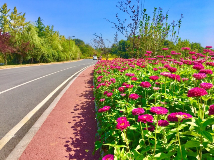 人民日报丨公共服务领域翻译规范：交通！