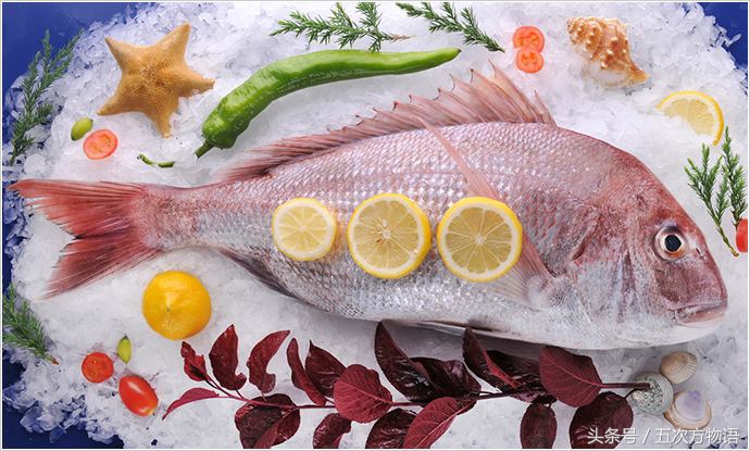 青岛海鱼品种大全及图片,青岛好吃的海鱼有哪些