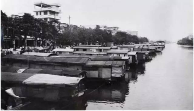 江阳现实版,我是江小白白酒图片