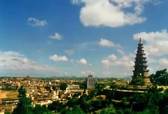 江阳现实版,我是江小白白酒图片