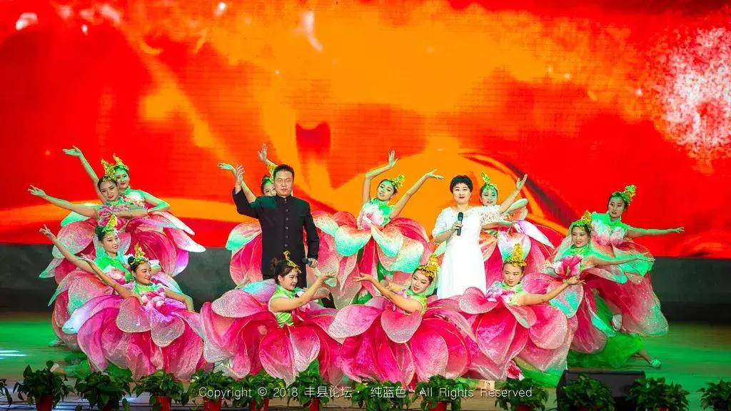 知青回沙河完整视频,北京沙河知青