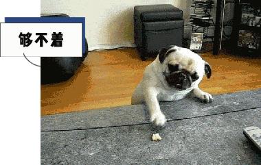 键盘上的字母为什么不按abcd排列,为什么键盘上的字母顺序不是abcd