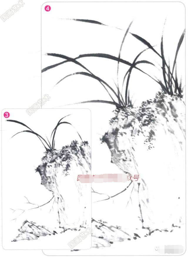 兰花国画写意画法初学者教程,国画教程写意兰花示范讲解