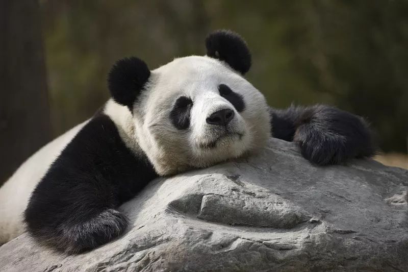 致世界文化名城成都，来自星巴克的邀请