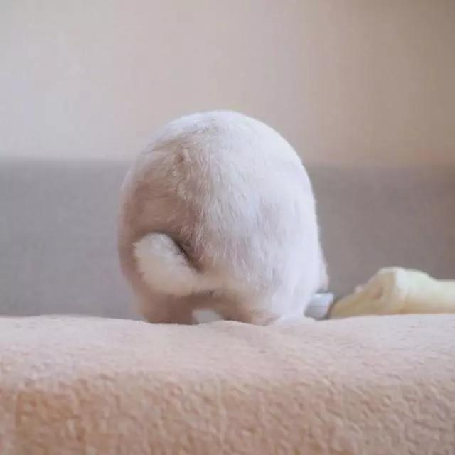 微信个性签名搞笑简短大全,微信个性签名短句搞笑