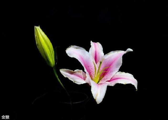 《一个小小修鞋匠的商业帝国》第七十九章异地提拔