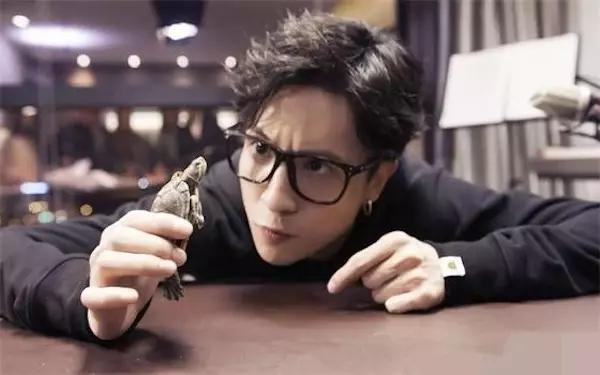 中国十大网红排行榜都有哪些,中国网红第一人