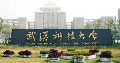许家印捐500亿华中科技大学,许家印与现实的武汉科技大学