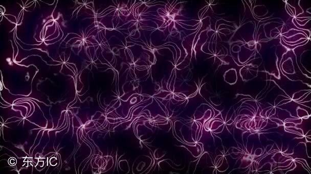 天津特产都有啥,天津的著名特产有哪些