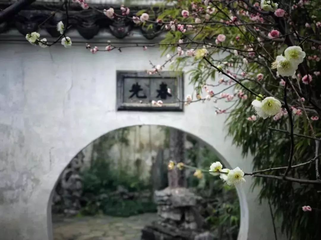 山花野鸟｜园林花语