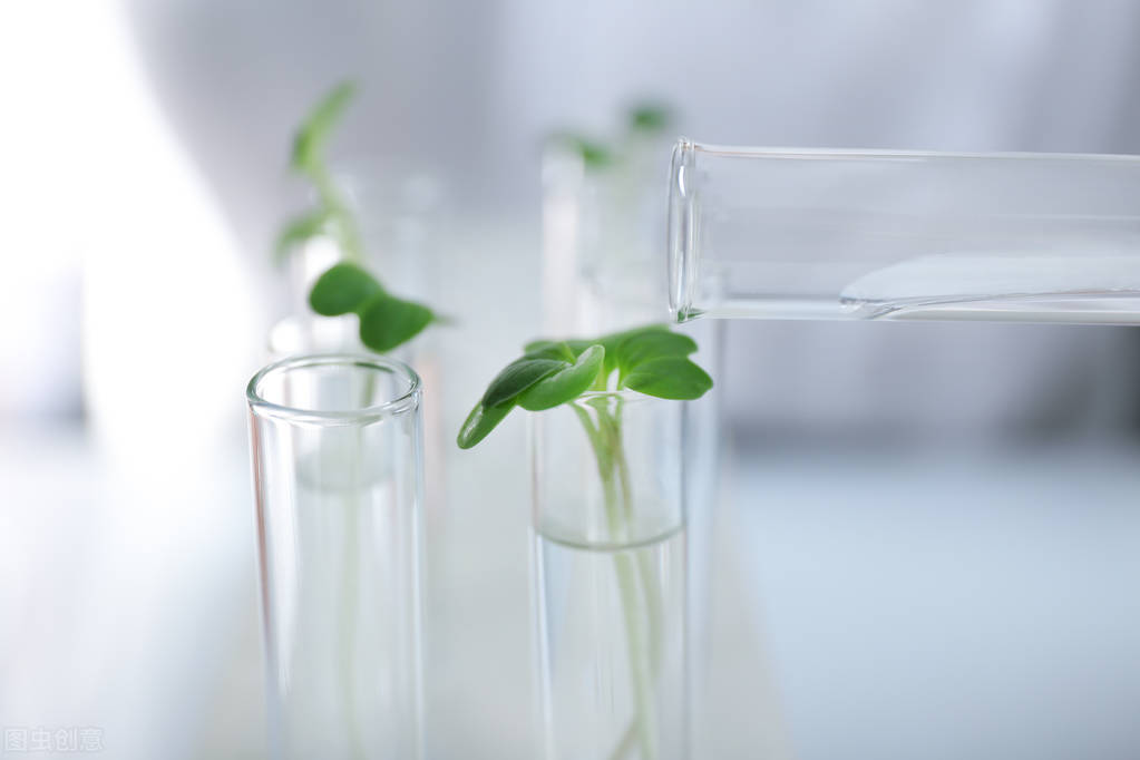 自动饮水机怎么避免滋生细菌,饮水机不清洗长期喝对身体的危害