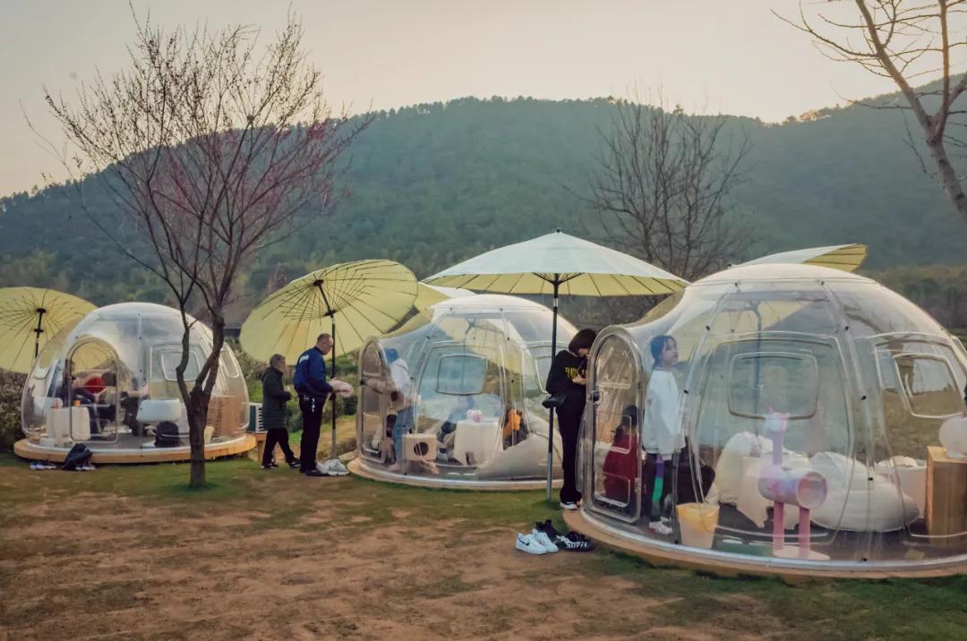 苏州小众却很棒的地方,五一来苏州必去的打卡地