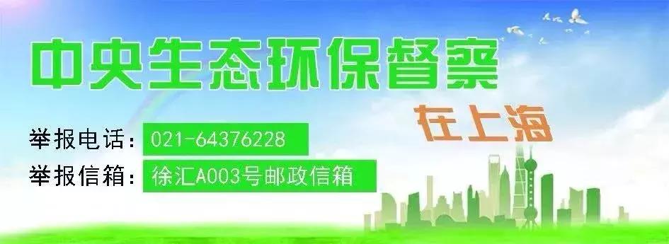 张晋蔡少芬上海街头,张晋蔡少芬上海游